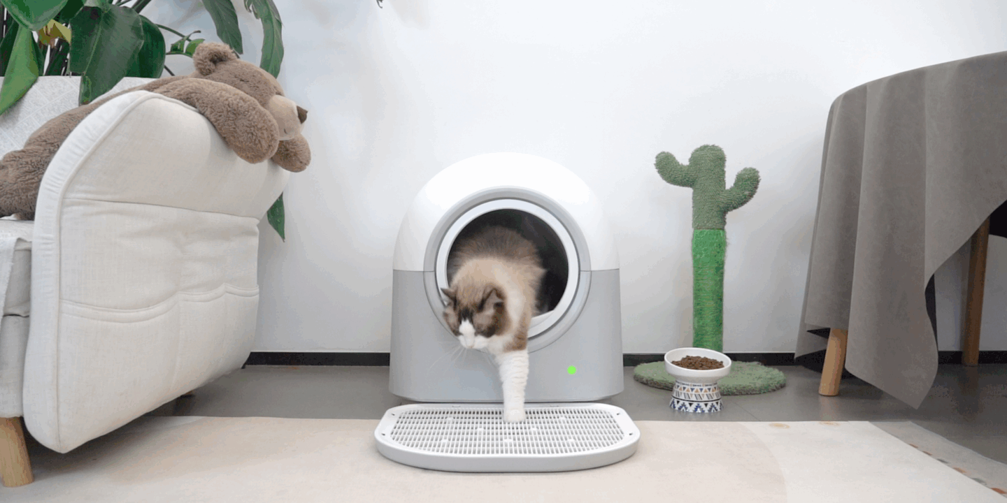 cat automatic Litter Boxes